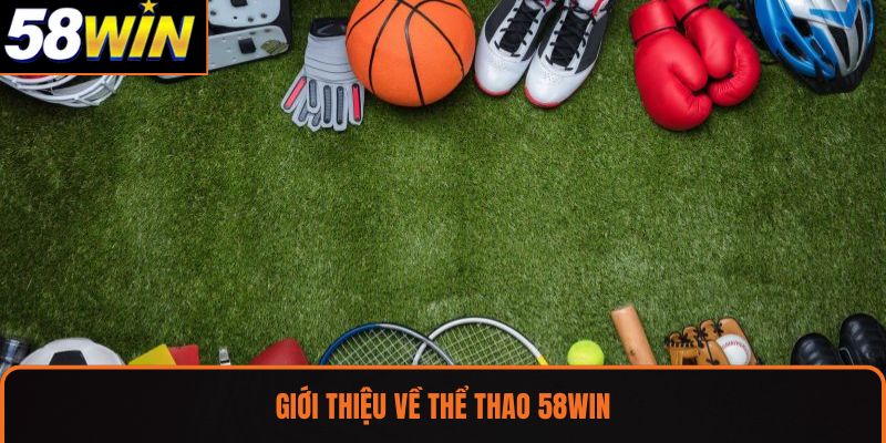 Giới thiệu về thể thao 58WIN